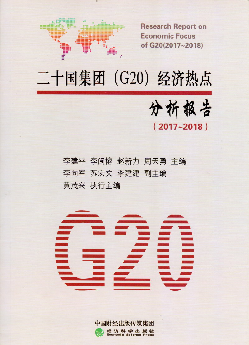 老公鸡鸡硬插老婆比比流水二十国集团（G20）经济热点分析报告（2017-2018）